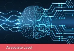 Artificial Neural Networks, Machine Learning, Deep Thinking Advanced
