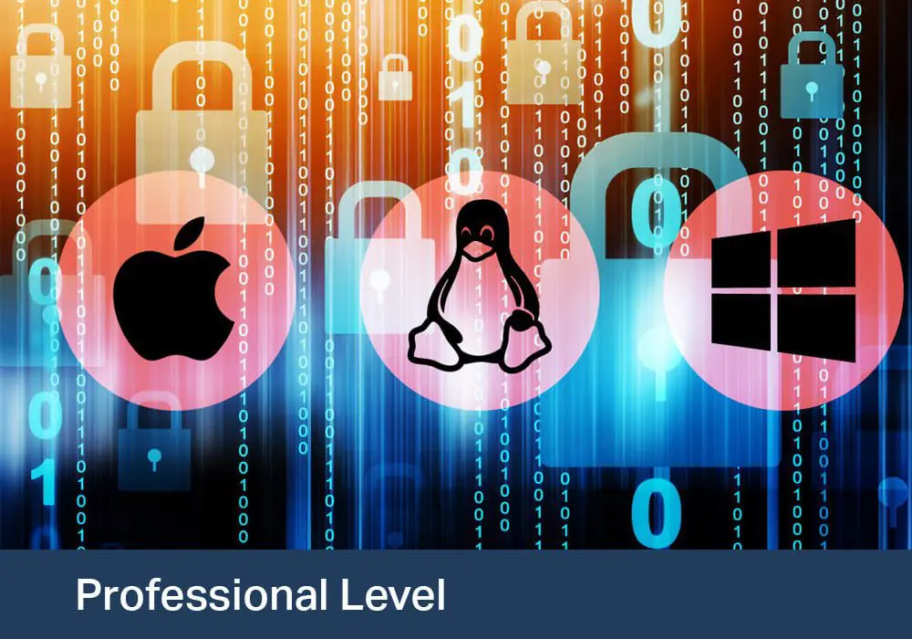 Linux Advanced - Linux Professional Institute - Curs oficial de 5 zile