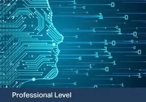 Natural Language Processing using Deep Learning