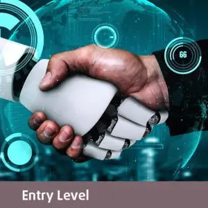 Microsoft AI-102 – Designing & Implementing a Microsoft Azure AI