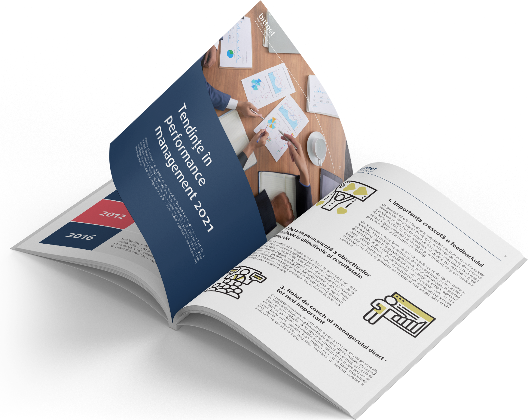 Managementul Performanței în IT