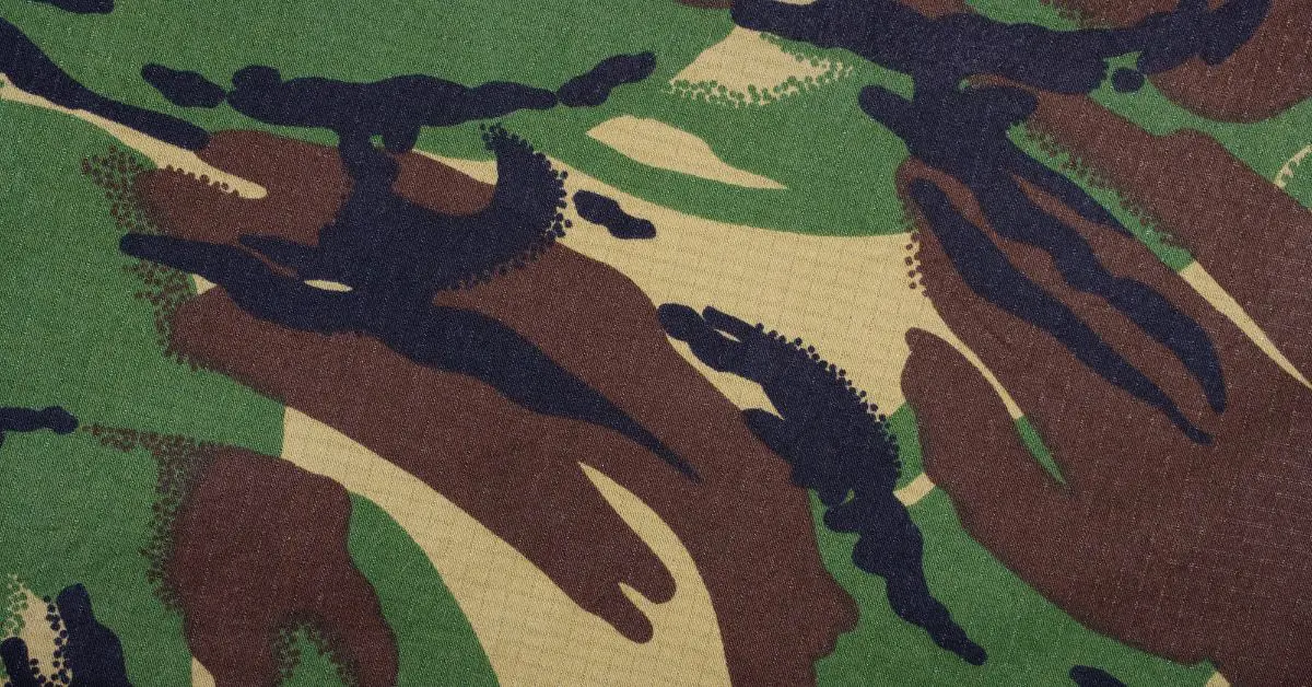 Analiza predictiva analiza predictiva a scorurilor de tragere