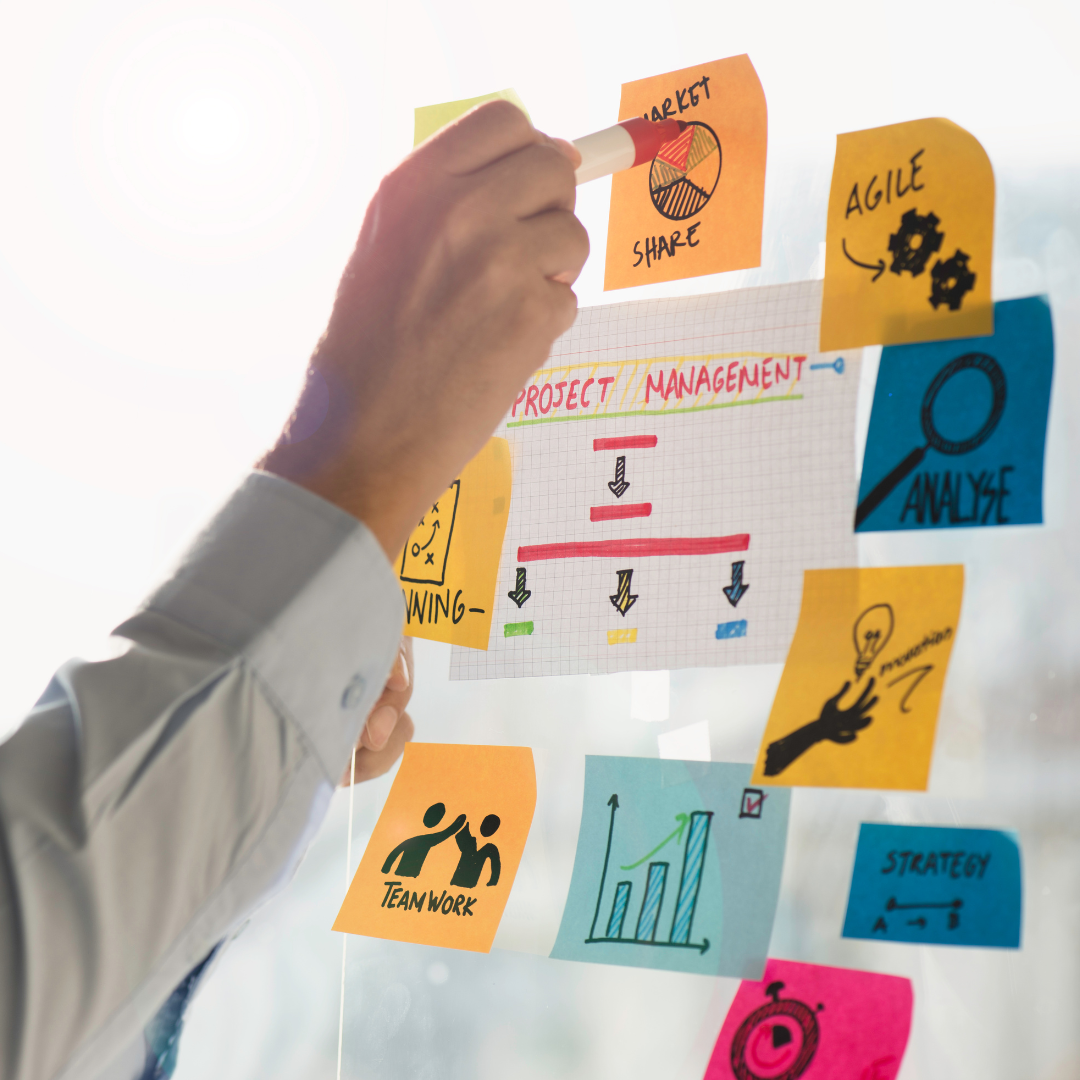 Analiza pietei uneltelor vizuale de management proiecte 2025