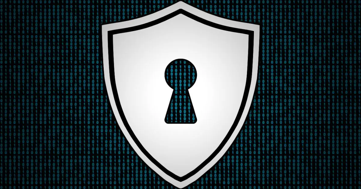 Intrebari esentiale din apelul financiar SentinelOne Q2