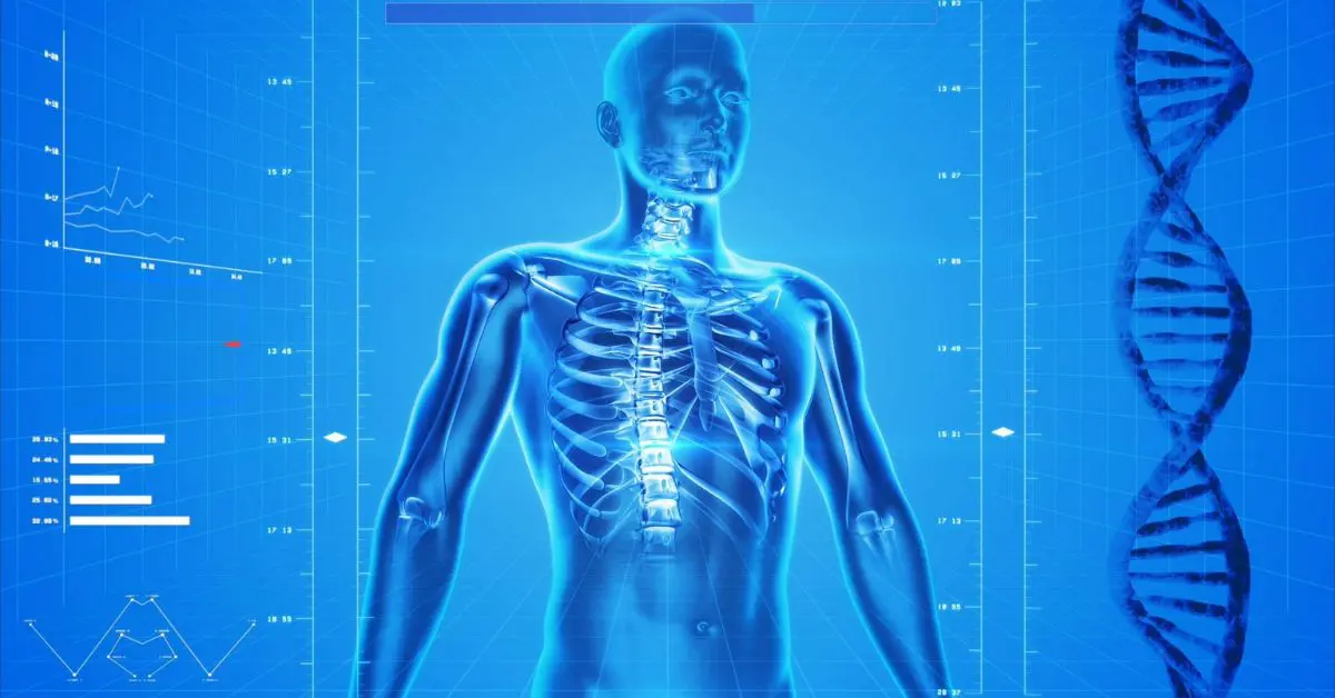 Arhitectura spatiala in dezvoltarea organismului si boli umane