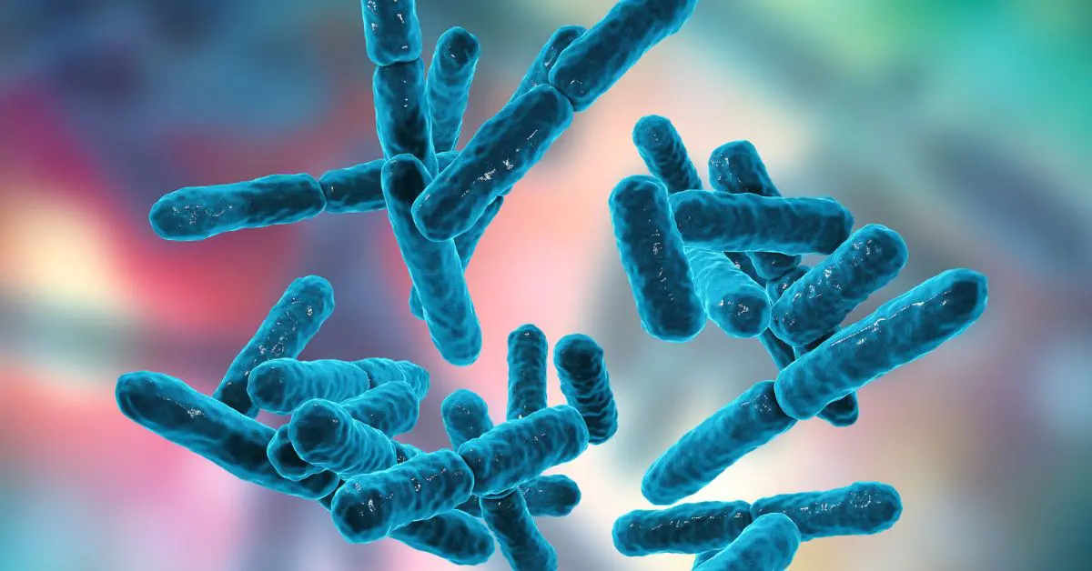 Instrument software inovator pentru a analiza datele spatiale