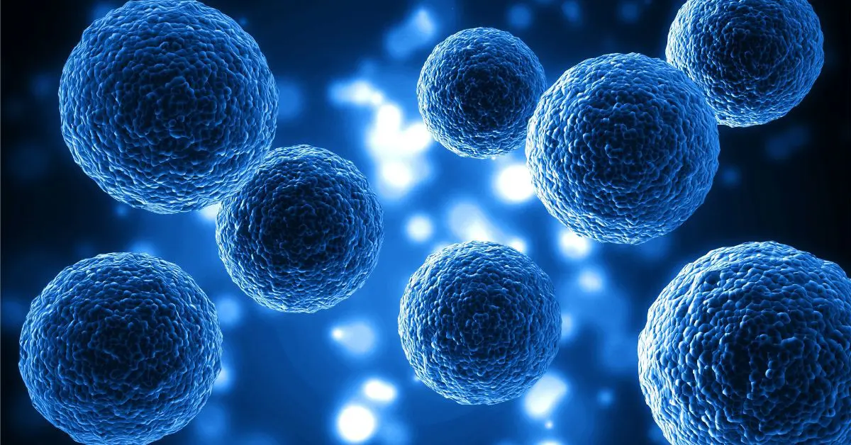 Platforma AI pentru analiza datelor single-cell