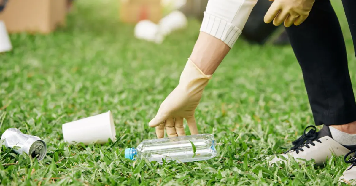 Proiecte de mediu transforma lumea prin Project Management