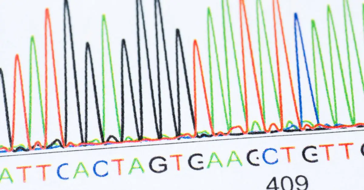 Viitorul Analizei Datelor NGS creste spectaculos pana in 2032