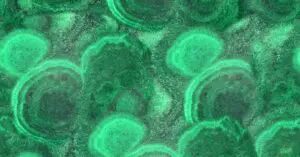 Invert revolutioneaza analiza bioproceselor cu Invert Assist AI