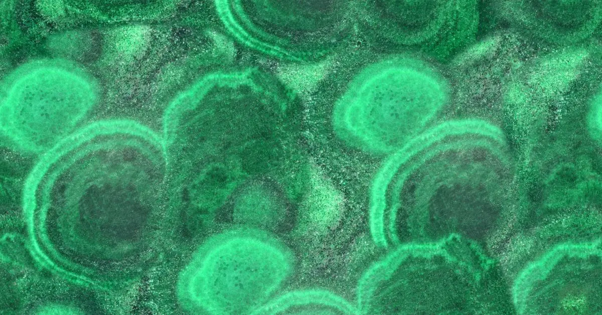 Invert revolutioneaza analiza bioproceselor cu Invert Assist AI